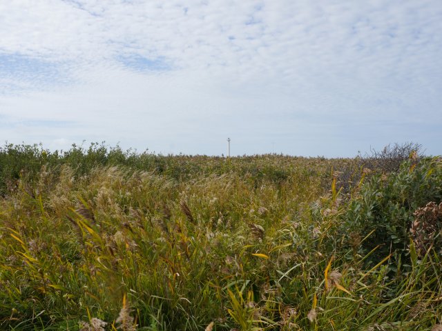 Tur til Jylland Sep. 2020
